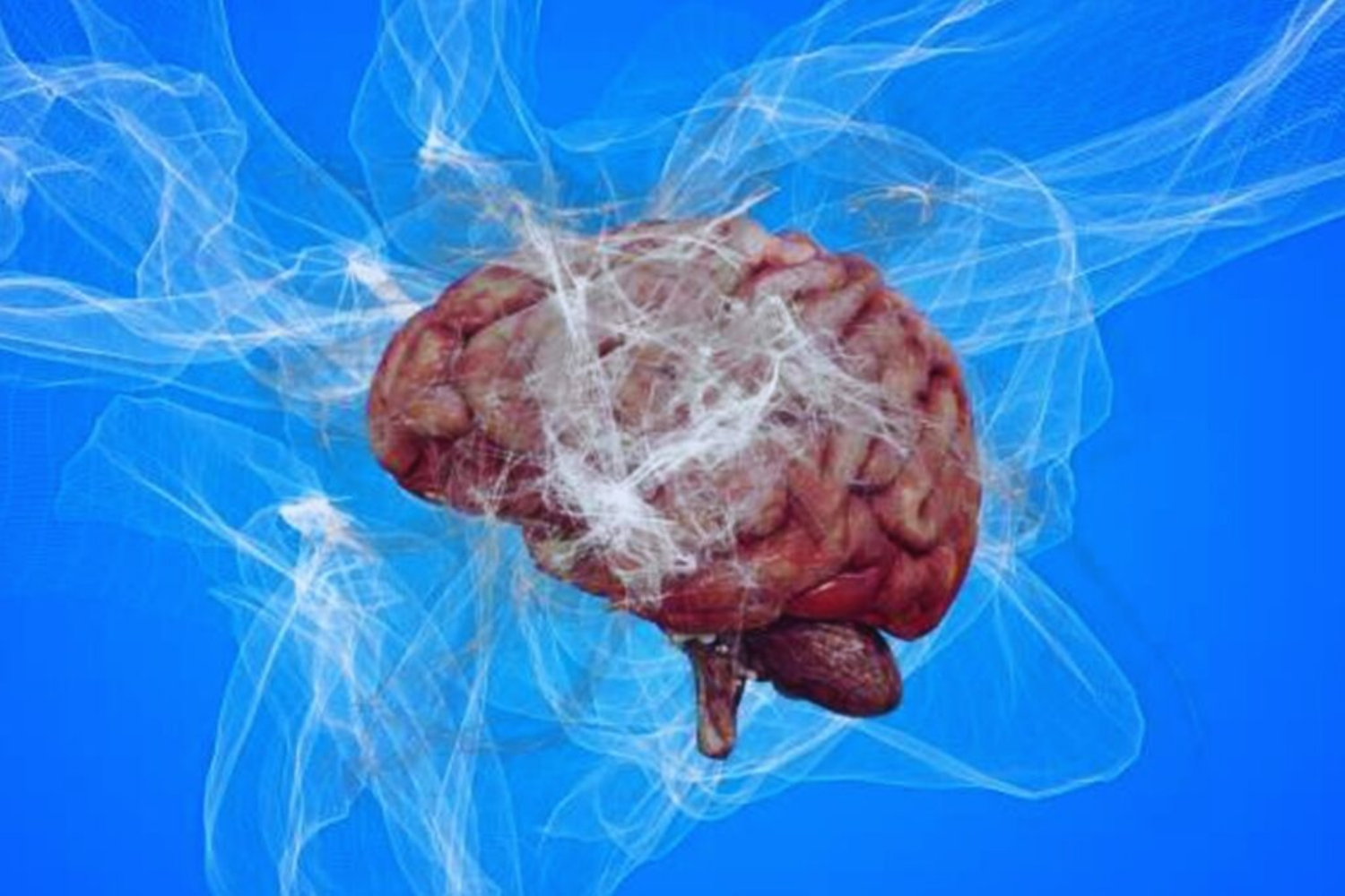 Plasticidade Cerebral, Memória E Aprendizado1