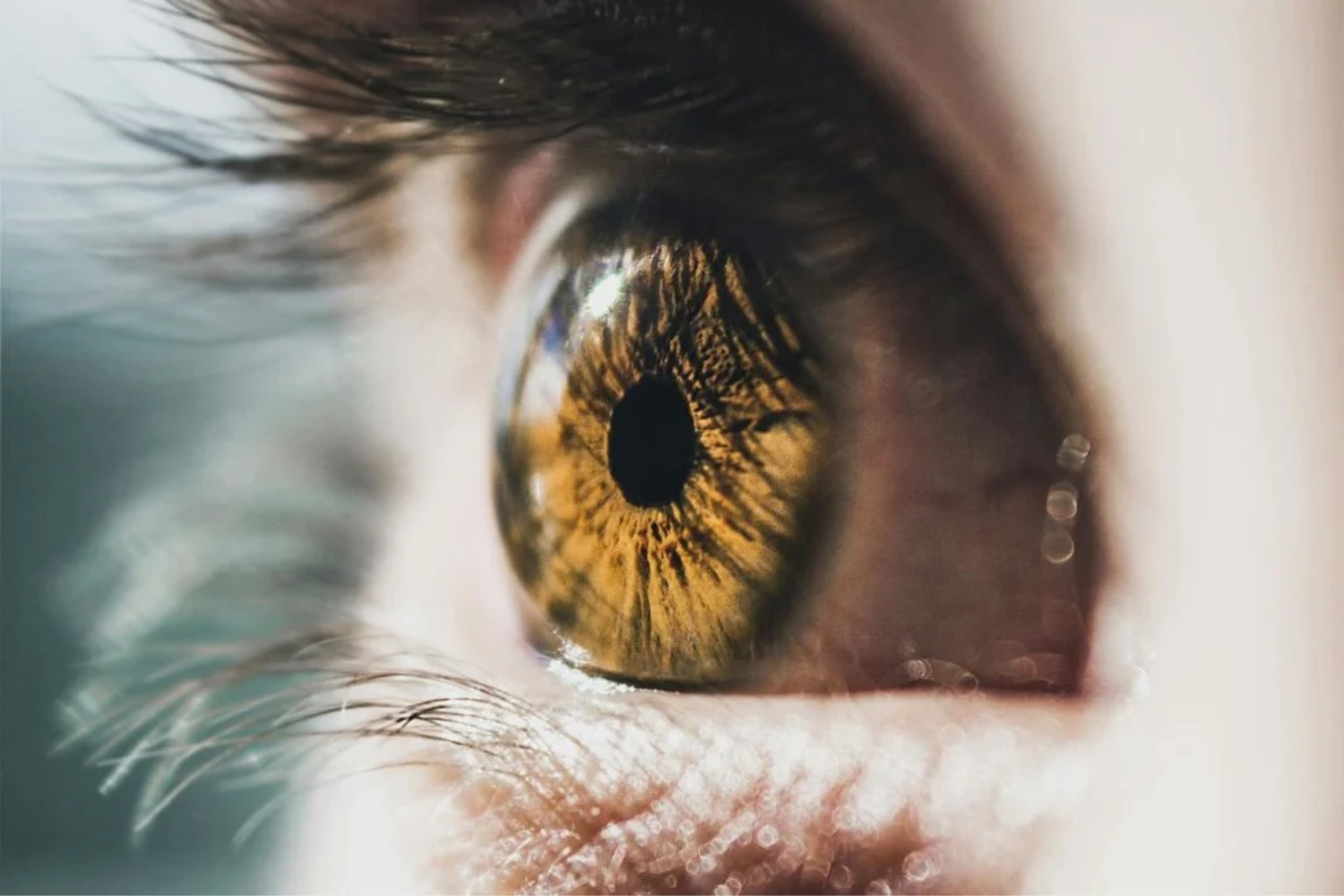 Regeneração Da Retina1