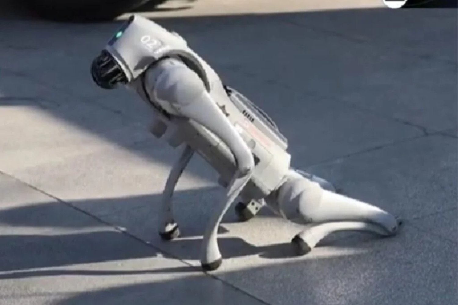 Robôs Quadrúpedes1