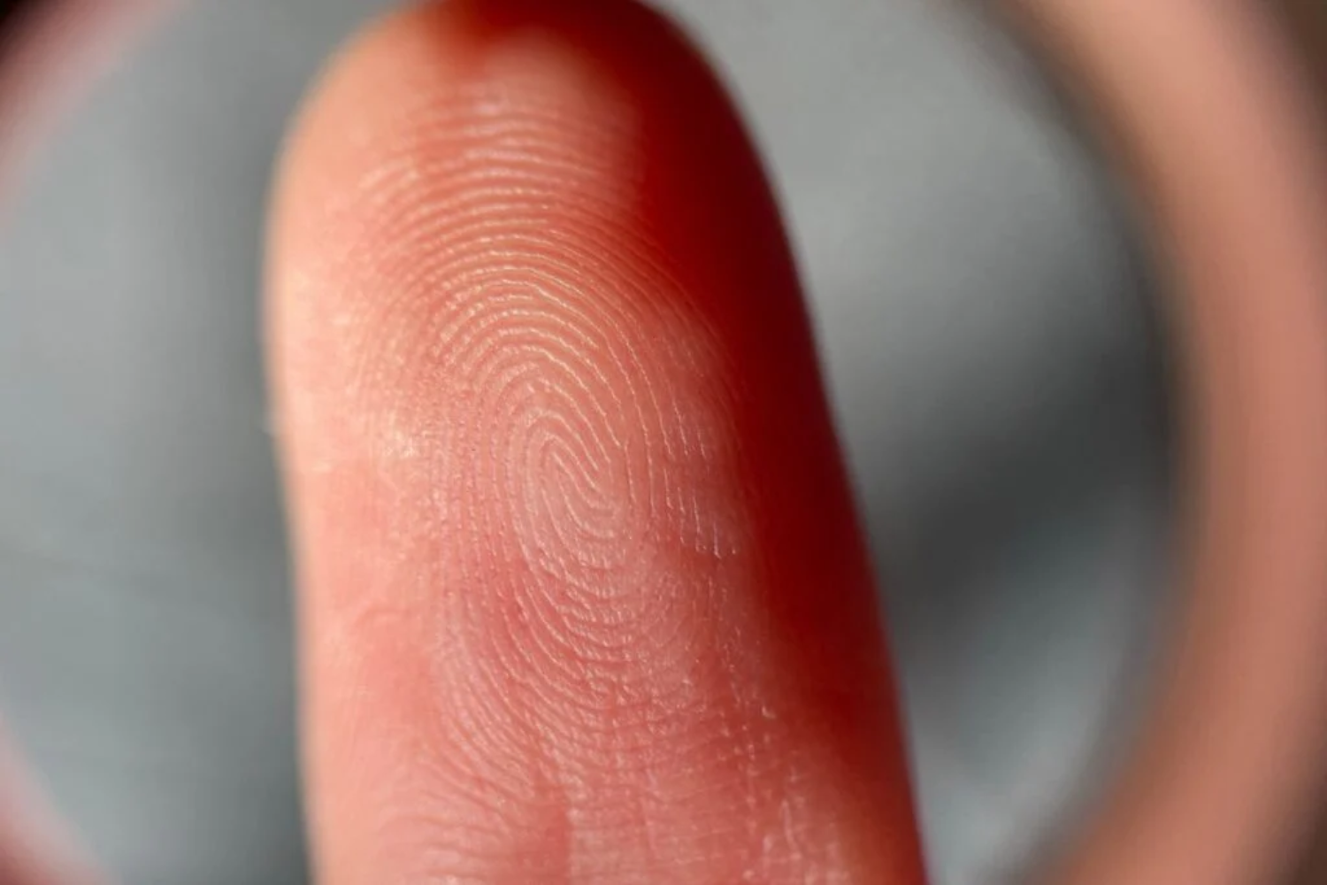 Tato Humano, Percepção Sensorial E Neurociência