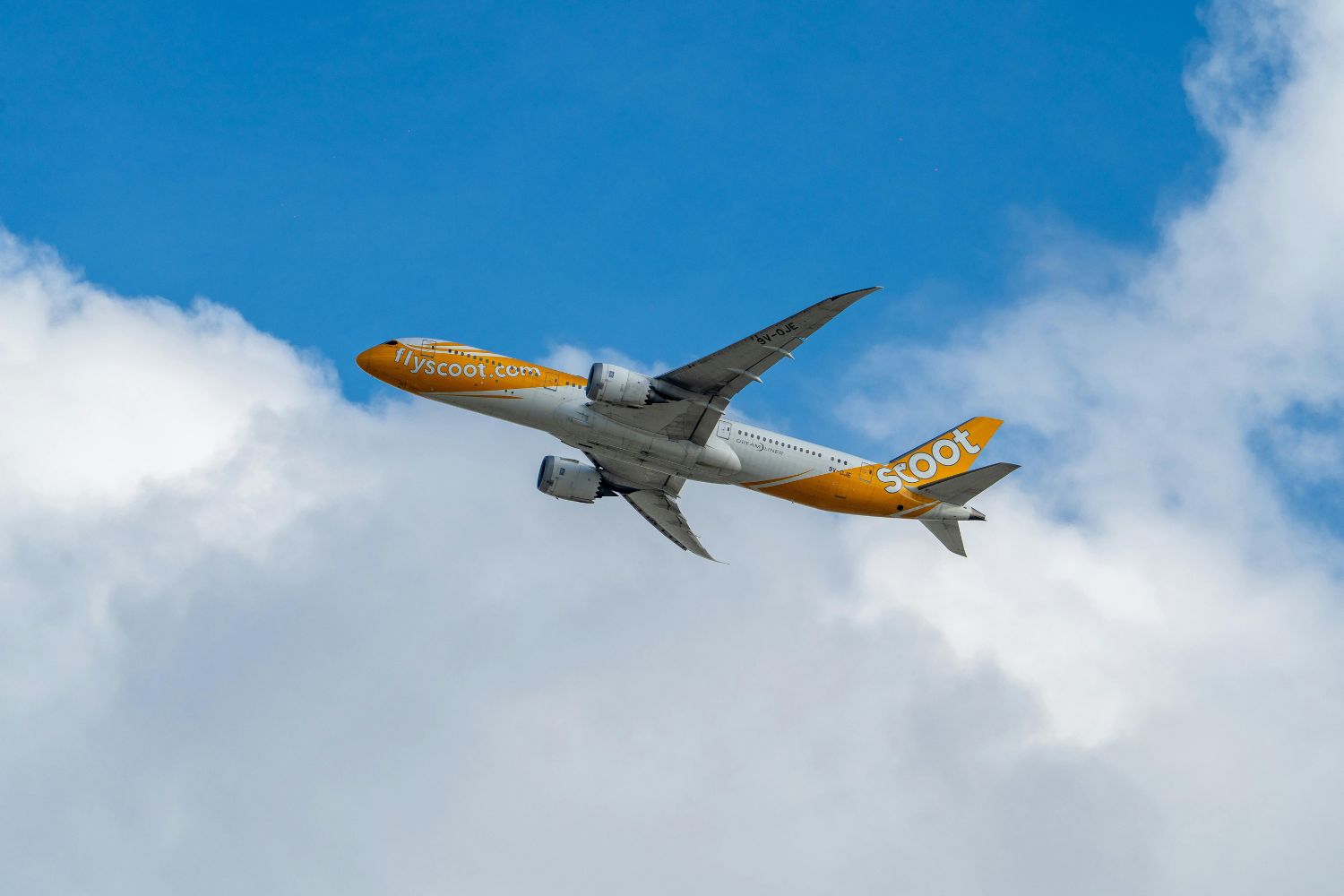 Medo de turbulência? O detalhe do assento que pode mudar sua experiência