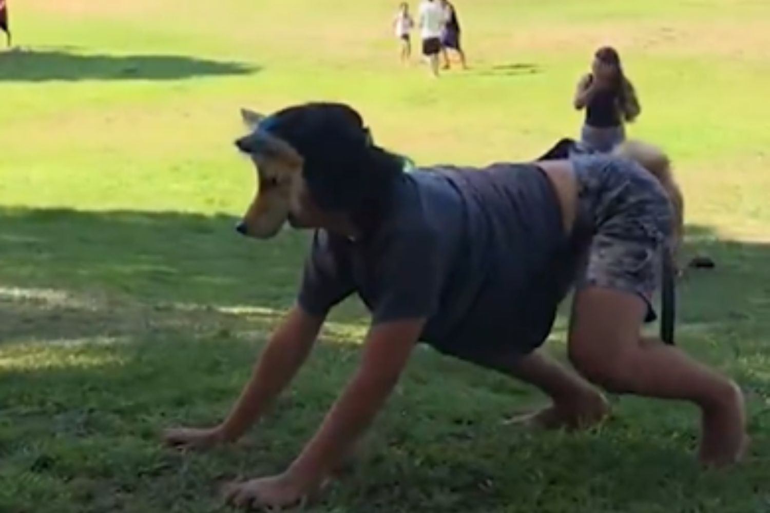 Therians: quando algumas pessoas sentem que não são só humanas