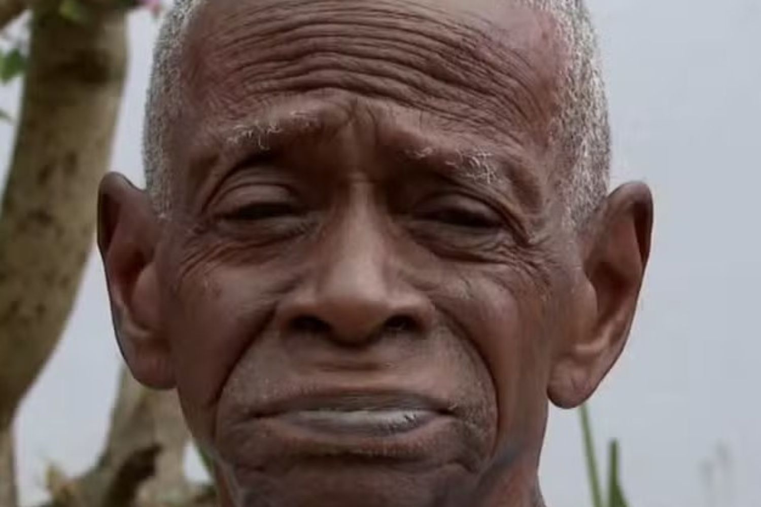 Ele tem 118 anos e é brasileiro: o mineiro que surpreende pela vitalidade