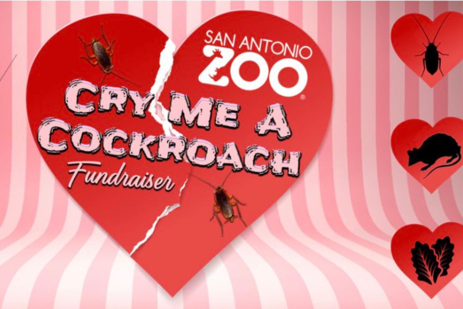 O ritual de vingança mais inusitado do Dia dos Namorados já começou