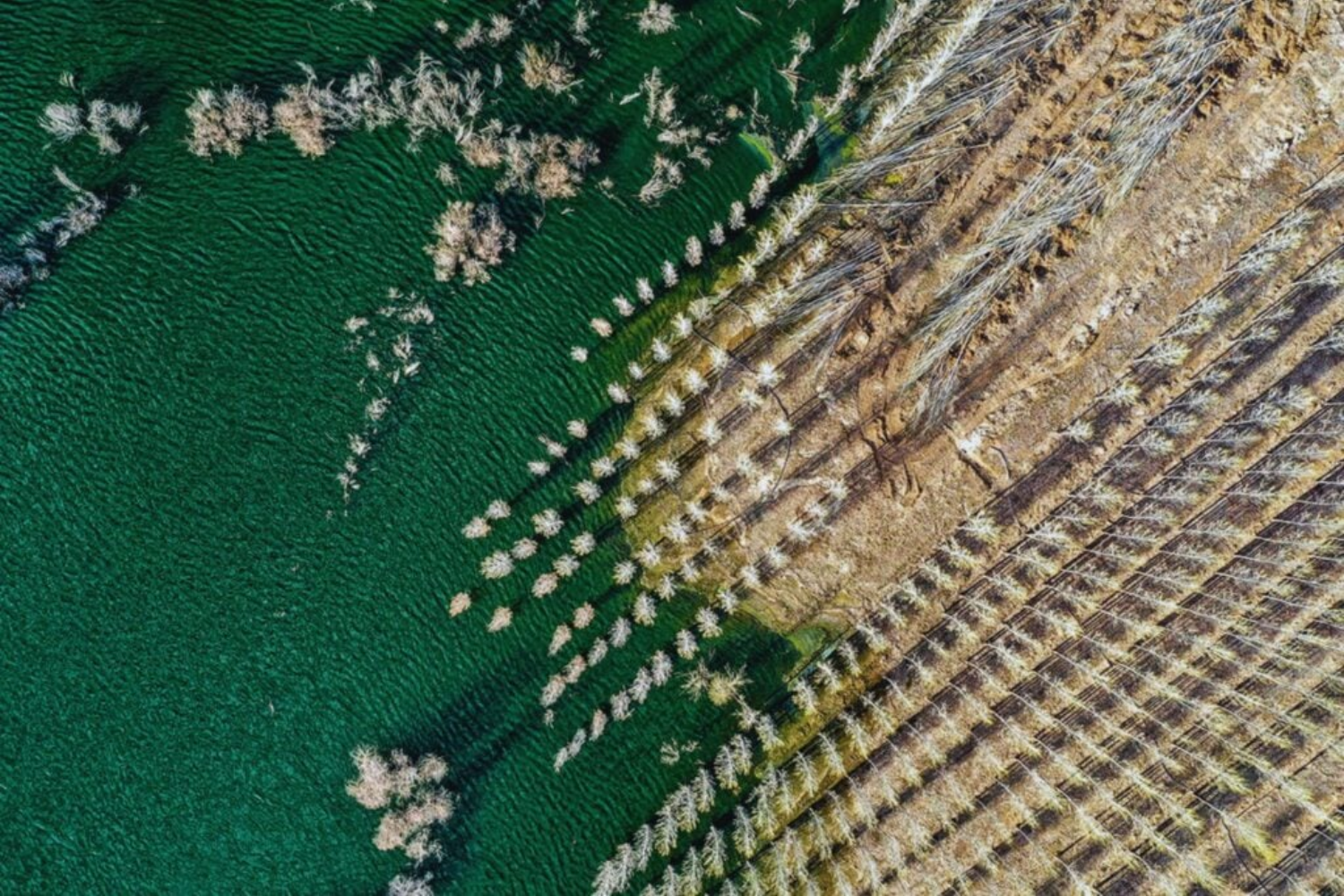 Desertificação