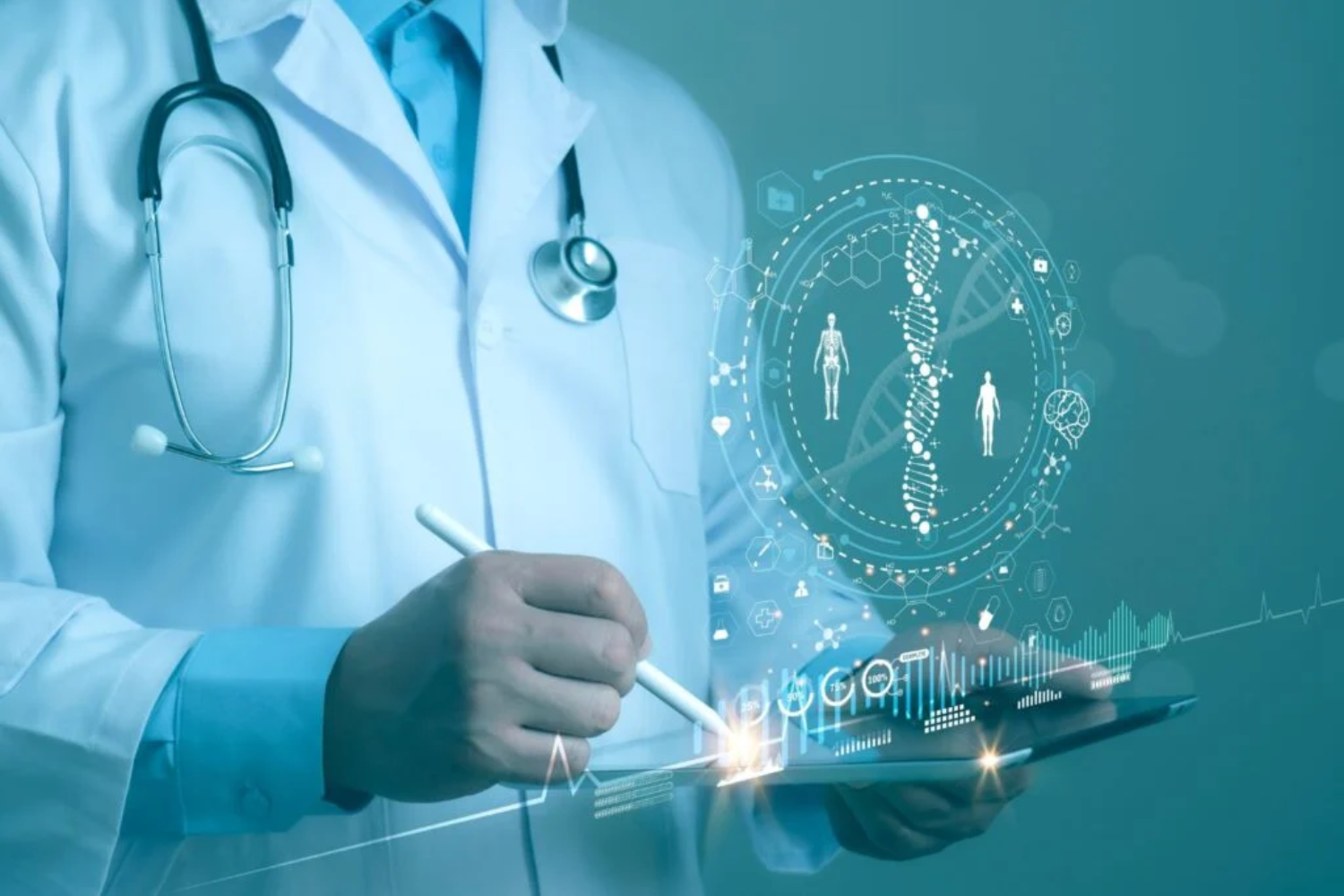 Enigma Do Cromossomo Y