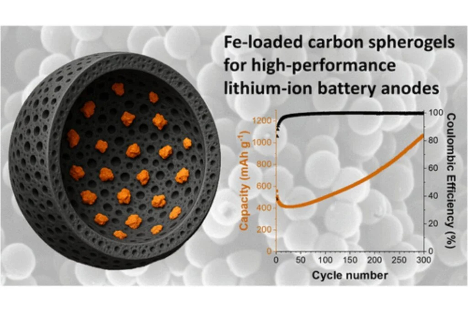 Estrutura Microscópica1