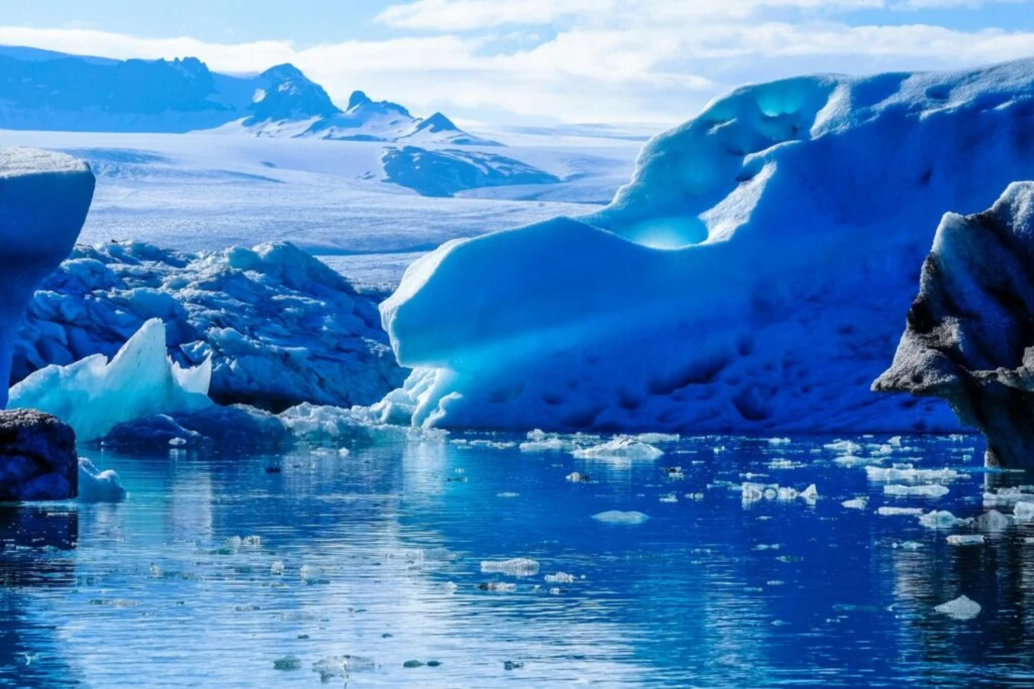 Novas Espécies Marinhas