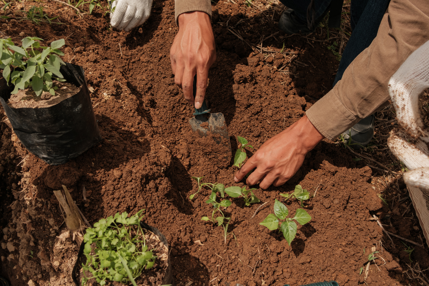 Políticas Ambientais1