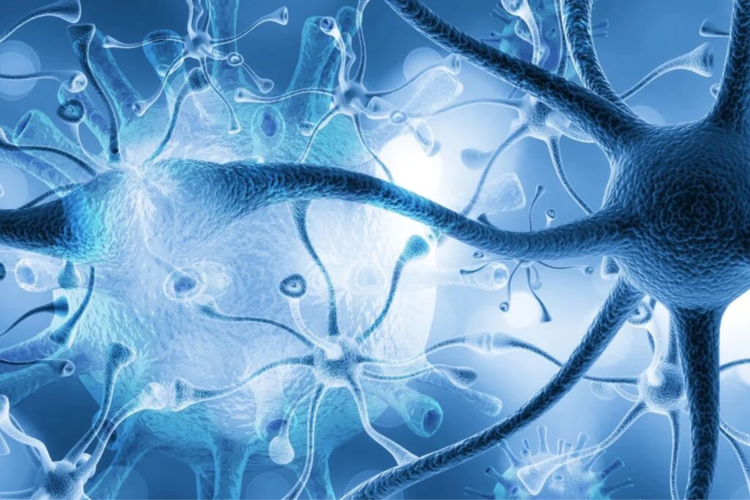 Sistema Imunológico1