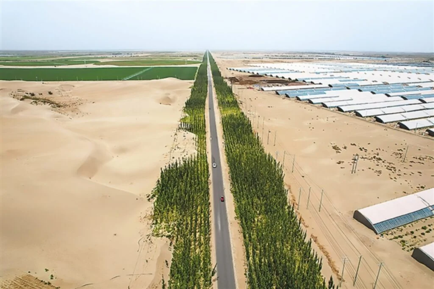 Solução Microscópica