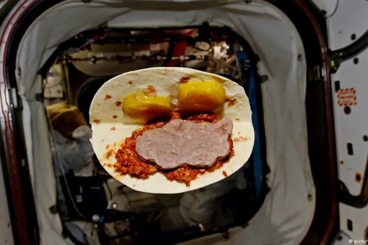 Comida Artemis