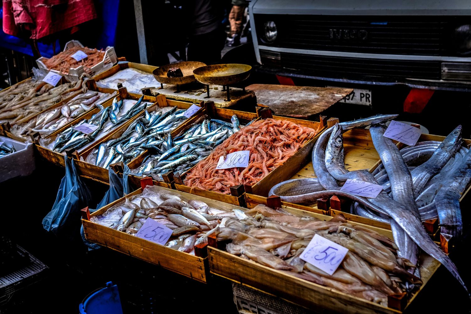 Estudo revela antibióticos em peixes consumidos no Brasil