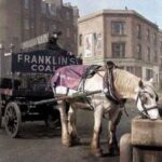 Carvão ou cavalo? A pergunta que pode definir se seu emprego sobreviverá à IA