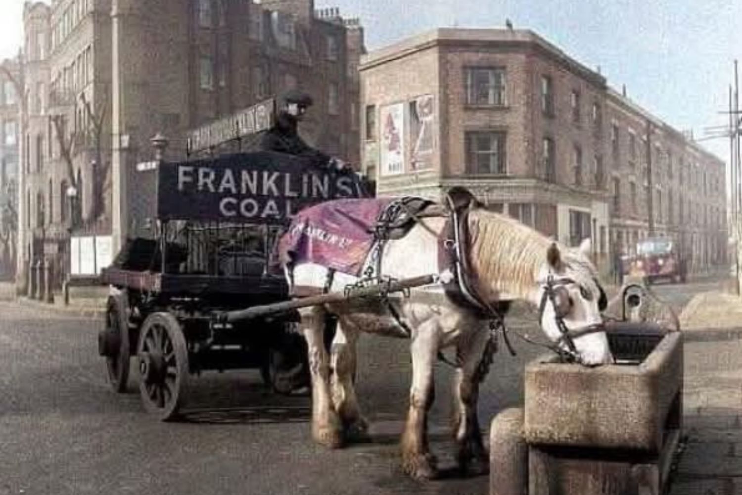 Carvão ou cavalo? A pergunta que pode definir se seu emprego sobreviverá à IA