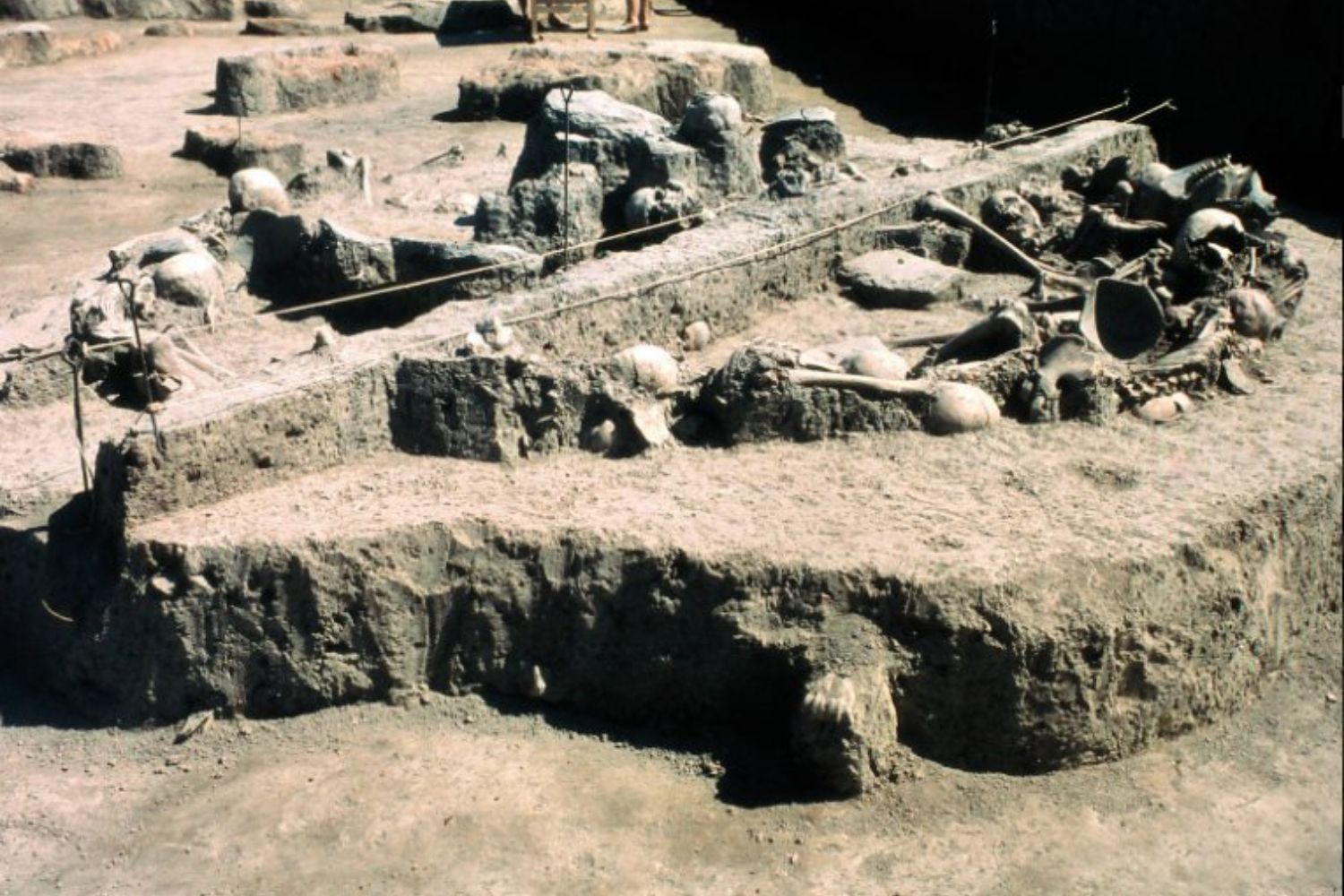 O achado arqueológico que revelou um massacre esquecido há 2.500 anos