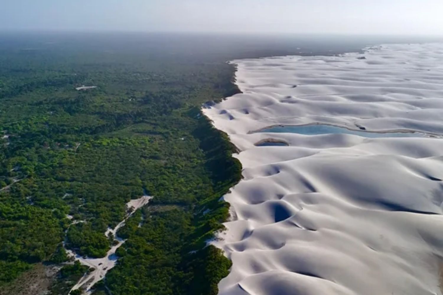 Preocupação entre os cientistas: a vegetação do planeta está se movendo