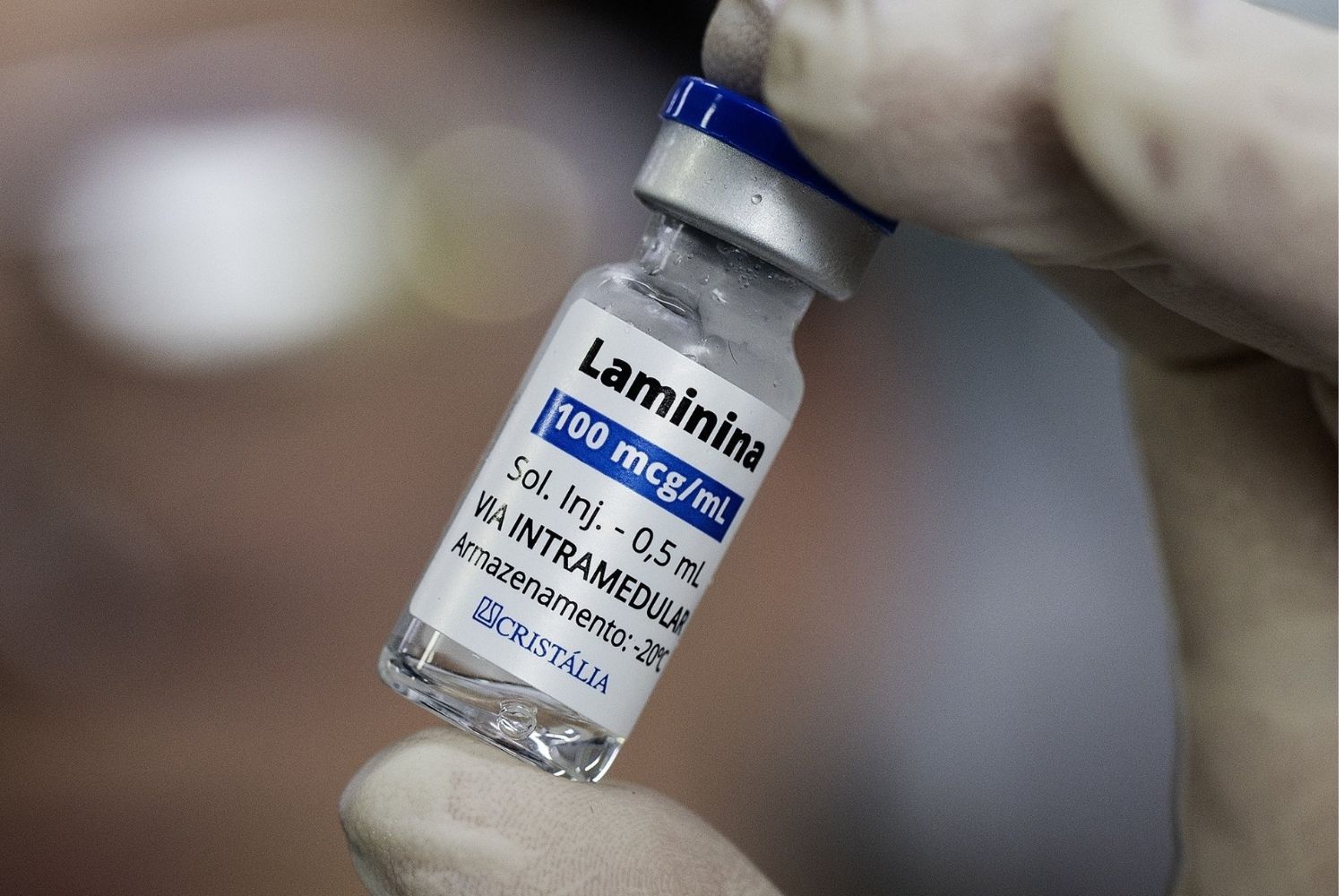 Uma proteína descoberta no Brasil pode abrir caminho para recuperar movimentos de paraplégicos e tetraplégicos