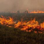 Estudo revela que impacto das queimadas na Amazônia foi subestimado: podem ter emitido até três vezes mais carbono