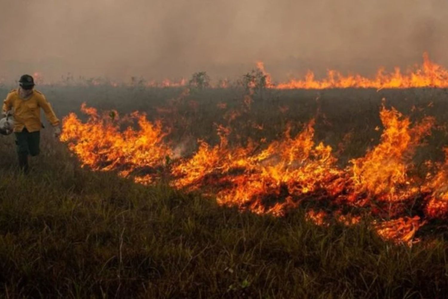 Estudo revela que impacto das queimadas na Amazônia foi subestimado: podem ter emitido até três vezes mais carbono