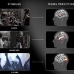 A Meta criou uma IA que consegue antecipar atividade do cérebro humano
