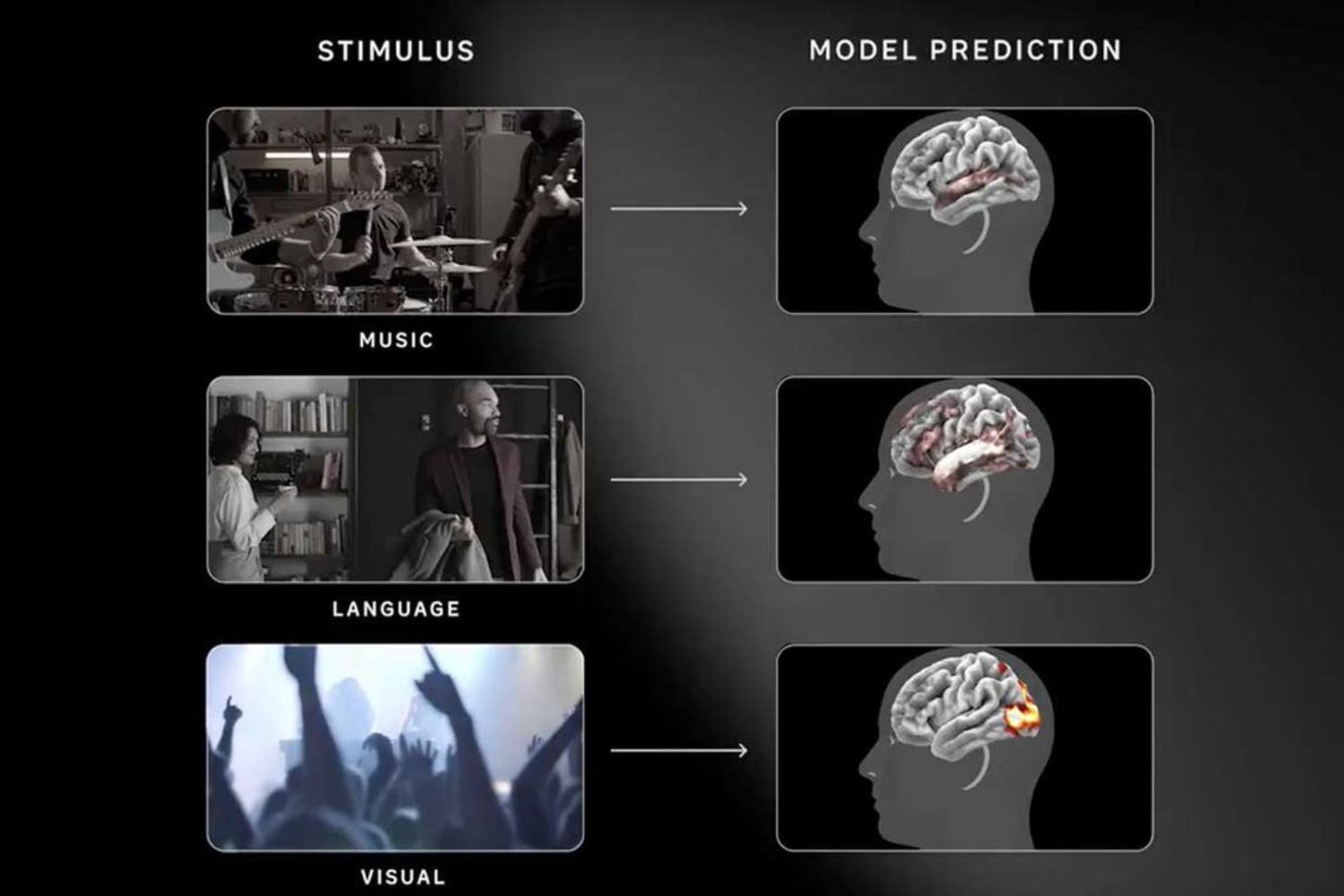A Meta criou uma IA que consegue antecipar atividade do cérebro humano