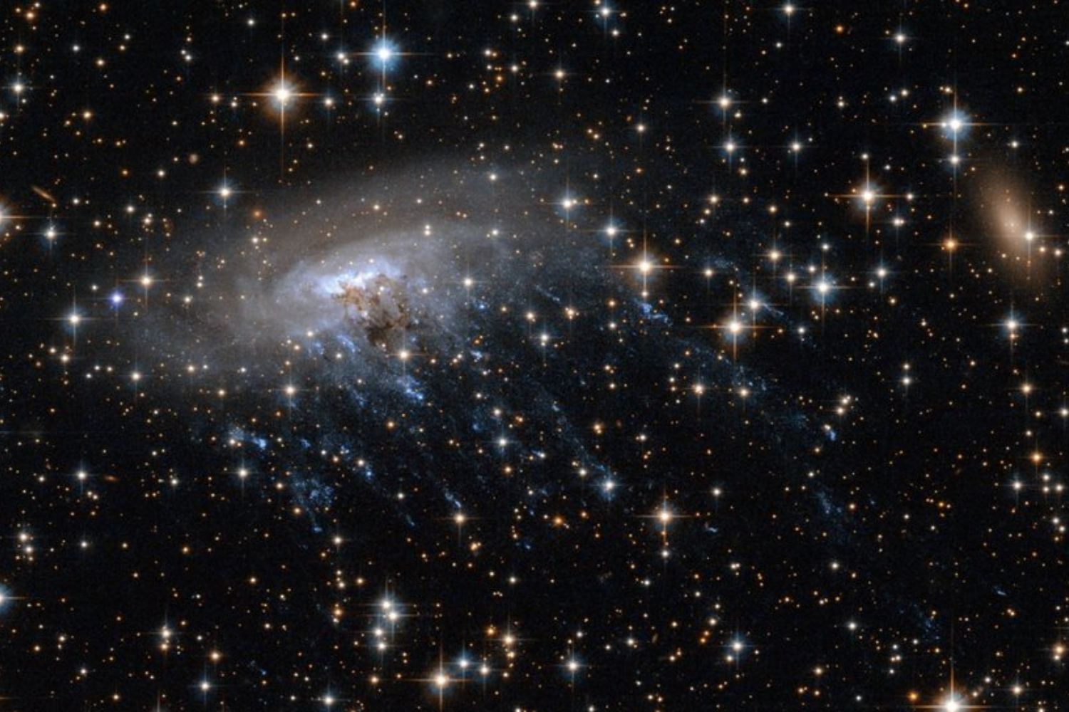 Objeto cósmico com aparência de água-viva é descoberto pelo telescópio espacial James Webb