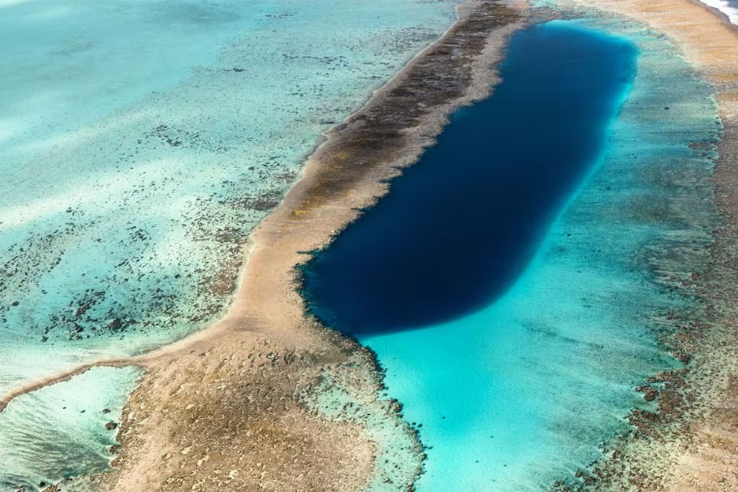 Uma gigantesca faixa marrom apareceu no Atlântico e já pode ser vista do espaço — fenômeno preocupa cientistas