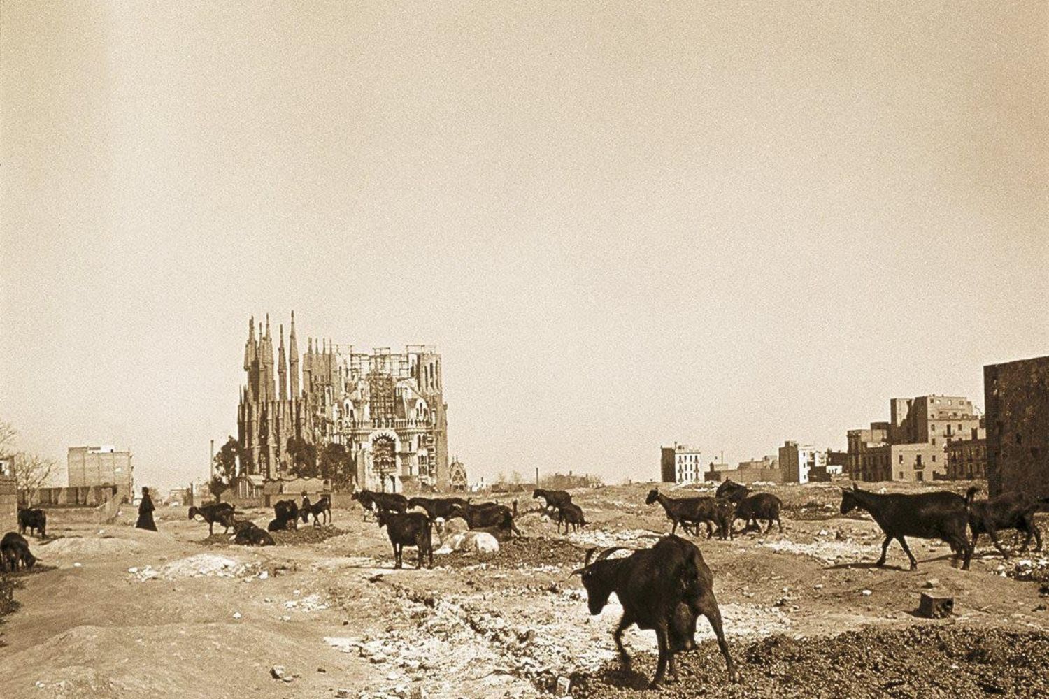 A basílica da Sagrada Família acaba de alcançar um novo marco em sua longa história de construção: a peça mais elevada foi colocada