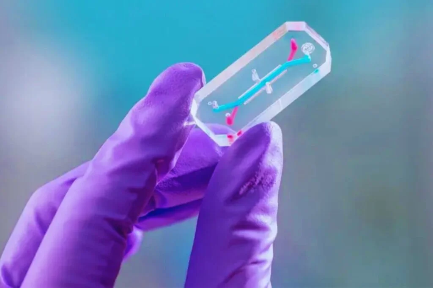 Avatares Biológicos1