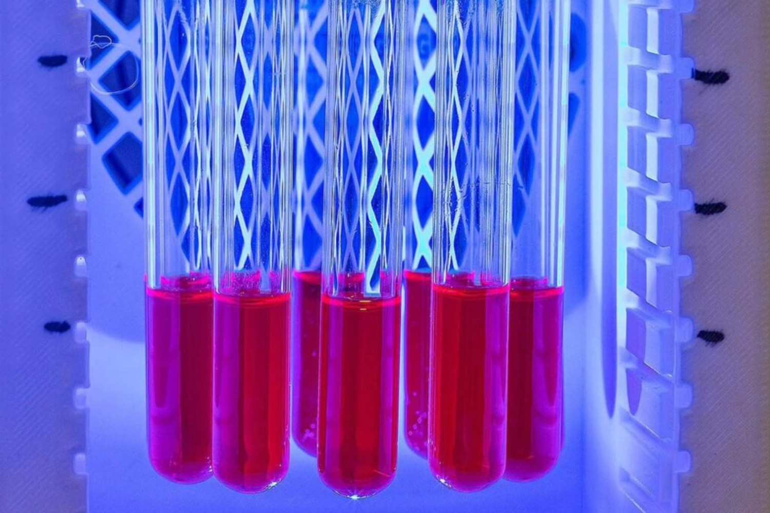 Bateria Solar Molecular1