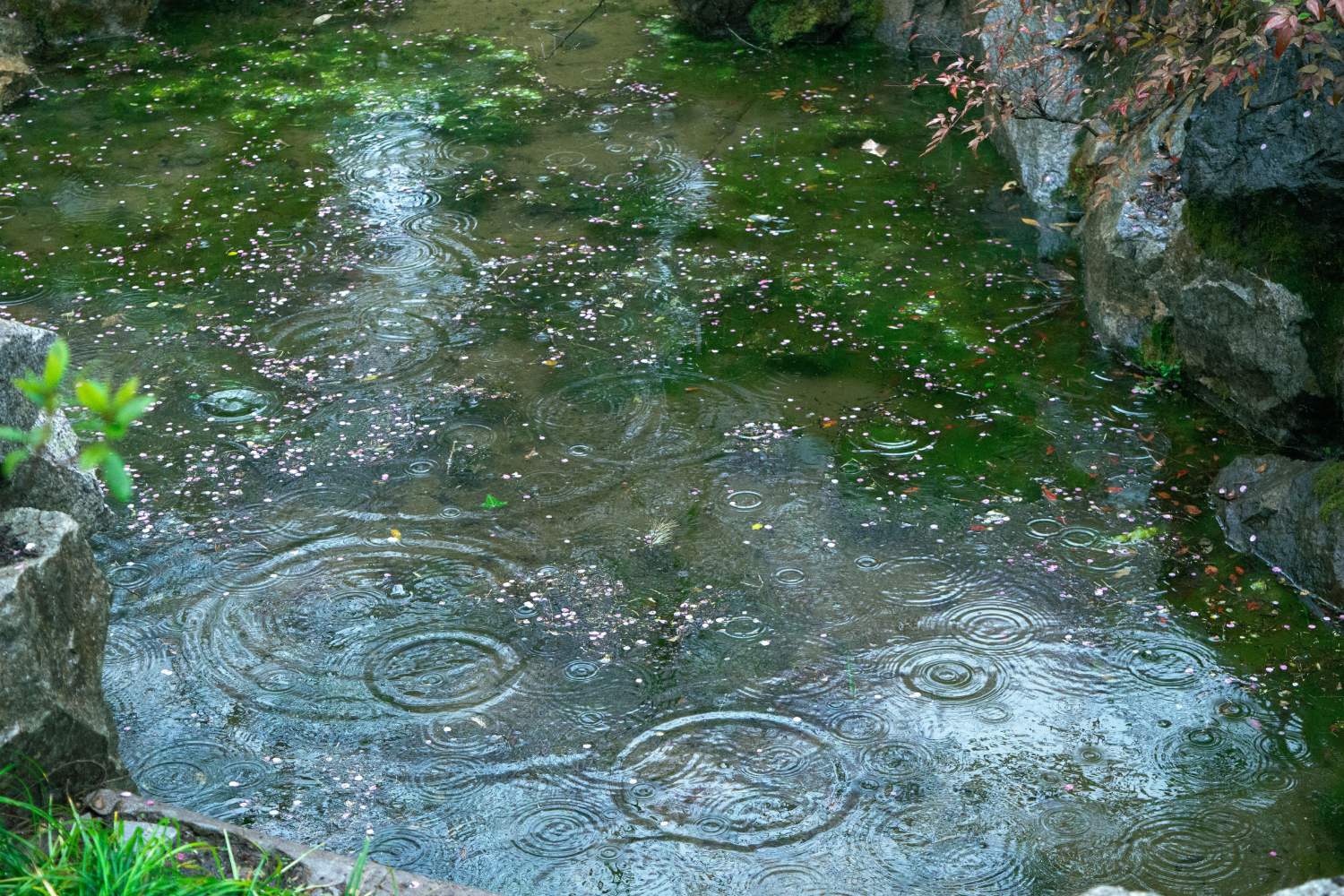 Chuva E Calor No Brasil