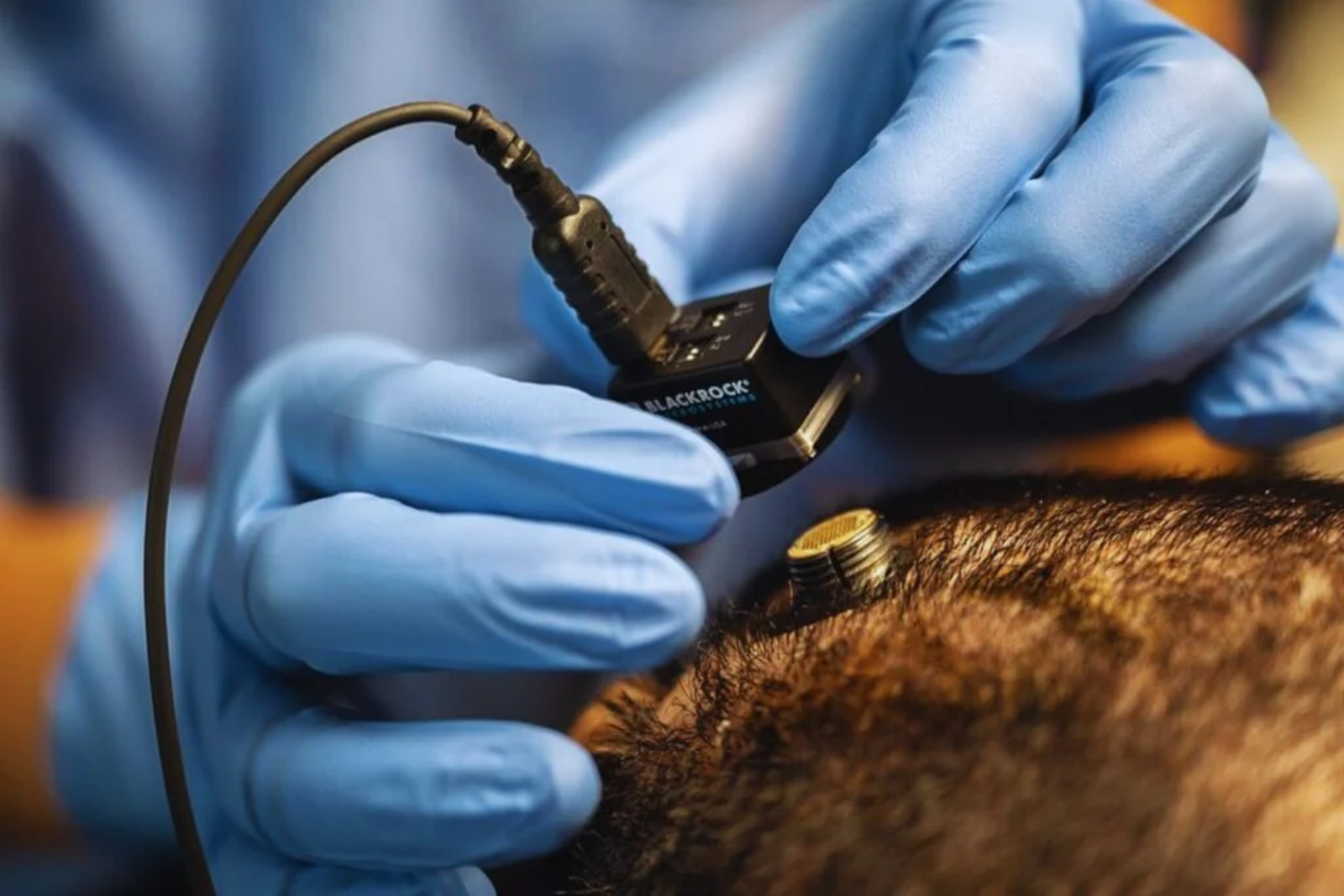 Corrida Tecnológica1