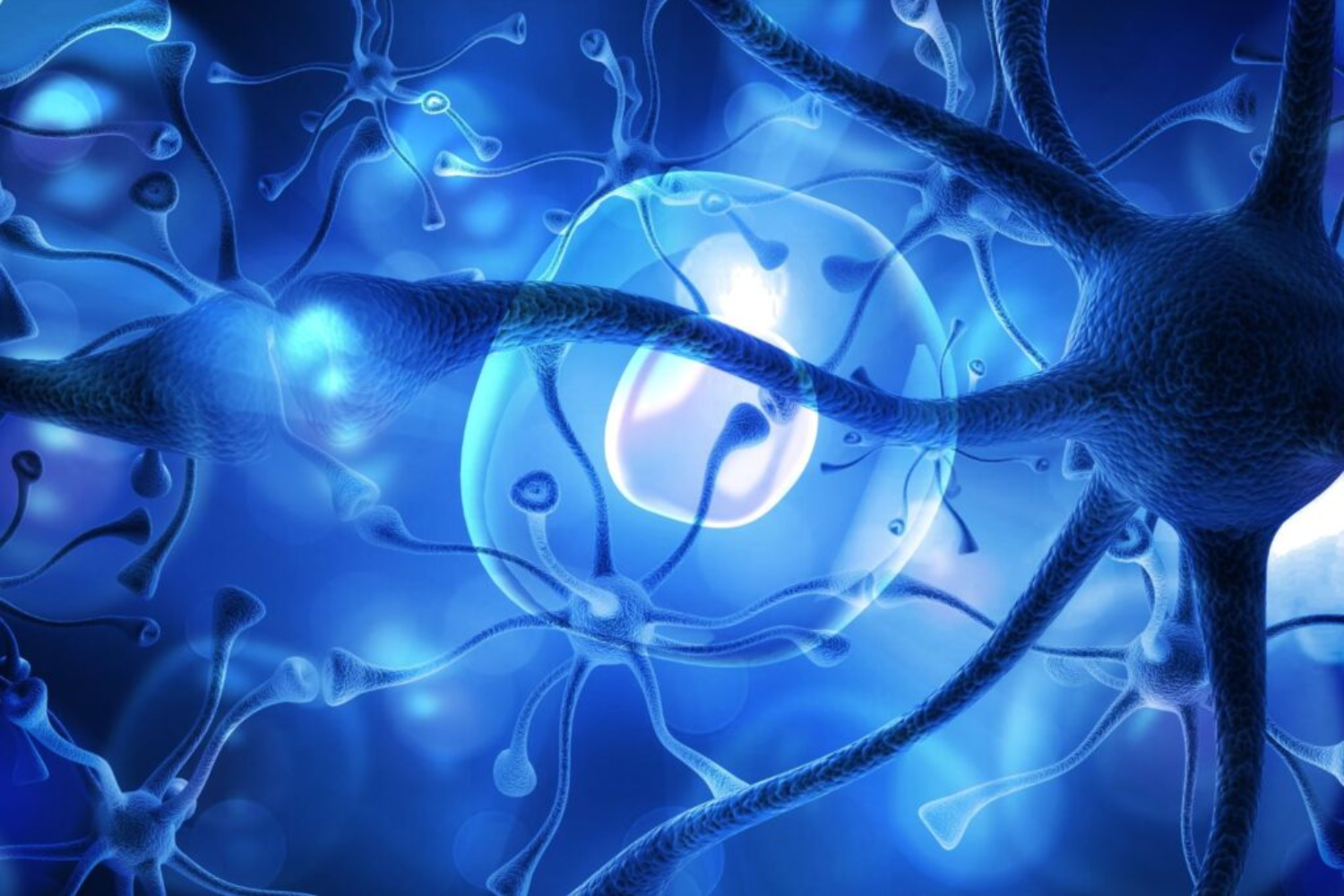 Mistério Das Memórias1