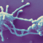 Origem Da Vida Complexa Na Terra