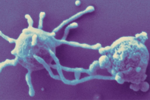 Origem Da Vida Complexa Na Terra