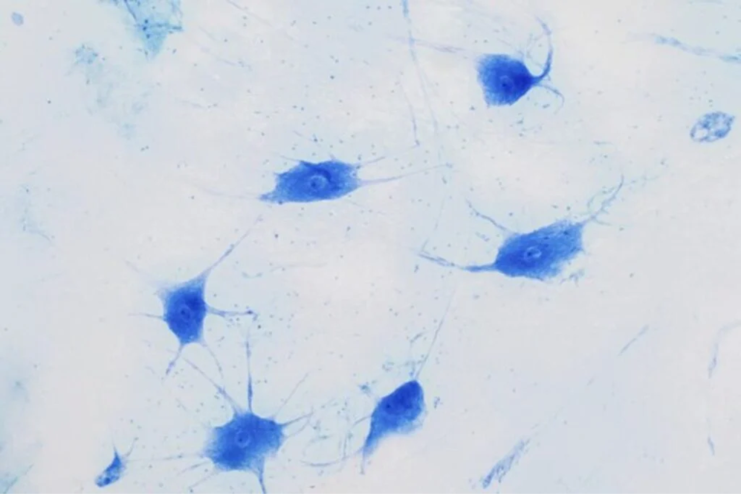 Origem Da Vida Complexa Na Terra1