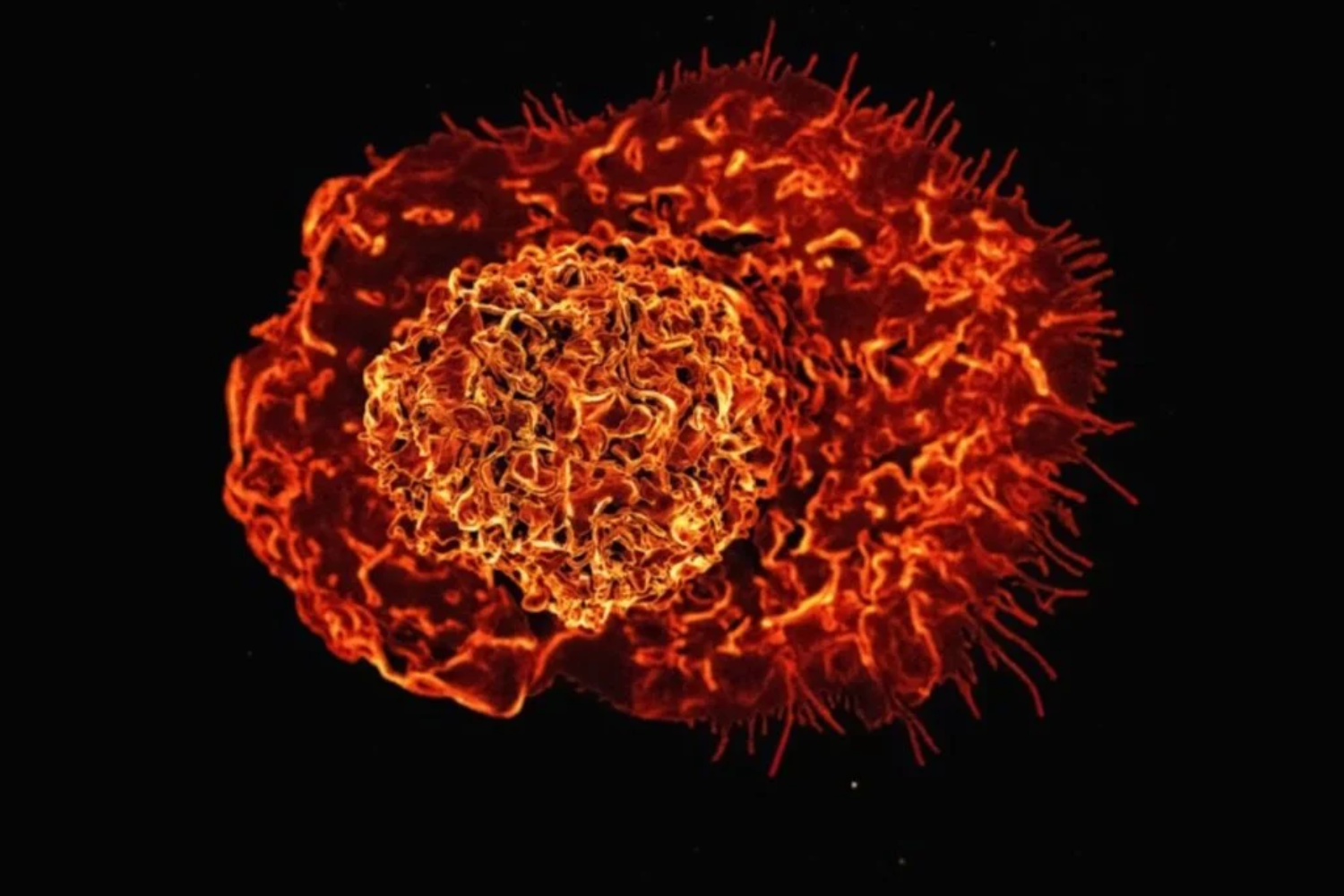 “teto” Biológico1