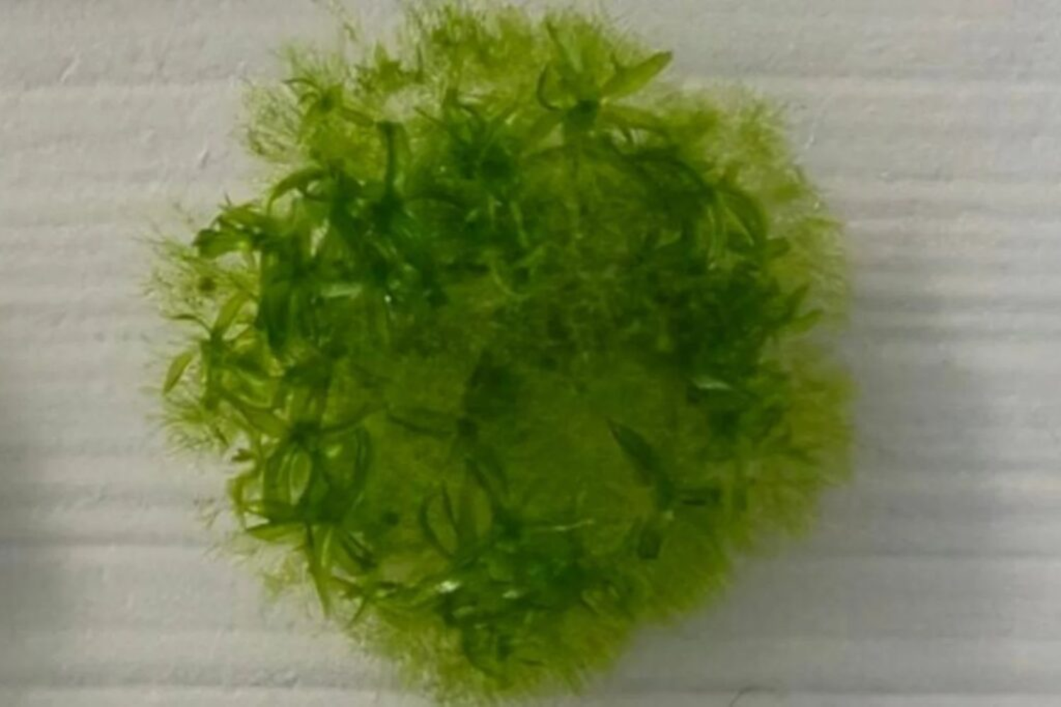 283 Dias No Espaço1