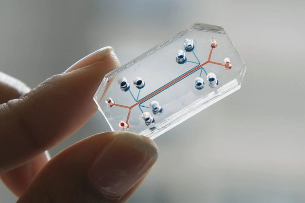 Pequenos chips viajaram até a Lua — e podem mudar a forma como tratamos doenças na Terra