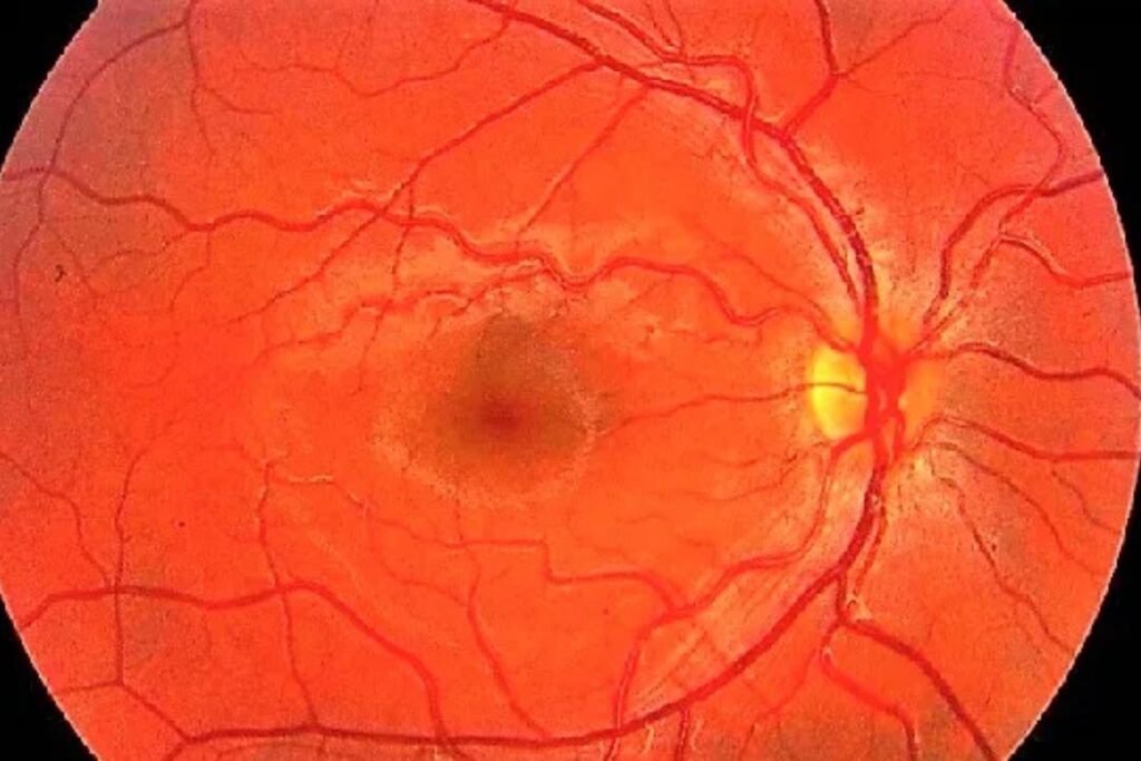 Cientistas aprenderam a “programar” tecidos vivos — o resultado parece ficção científica