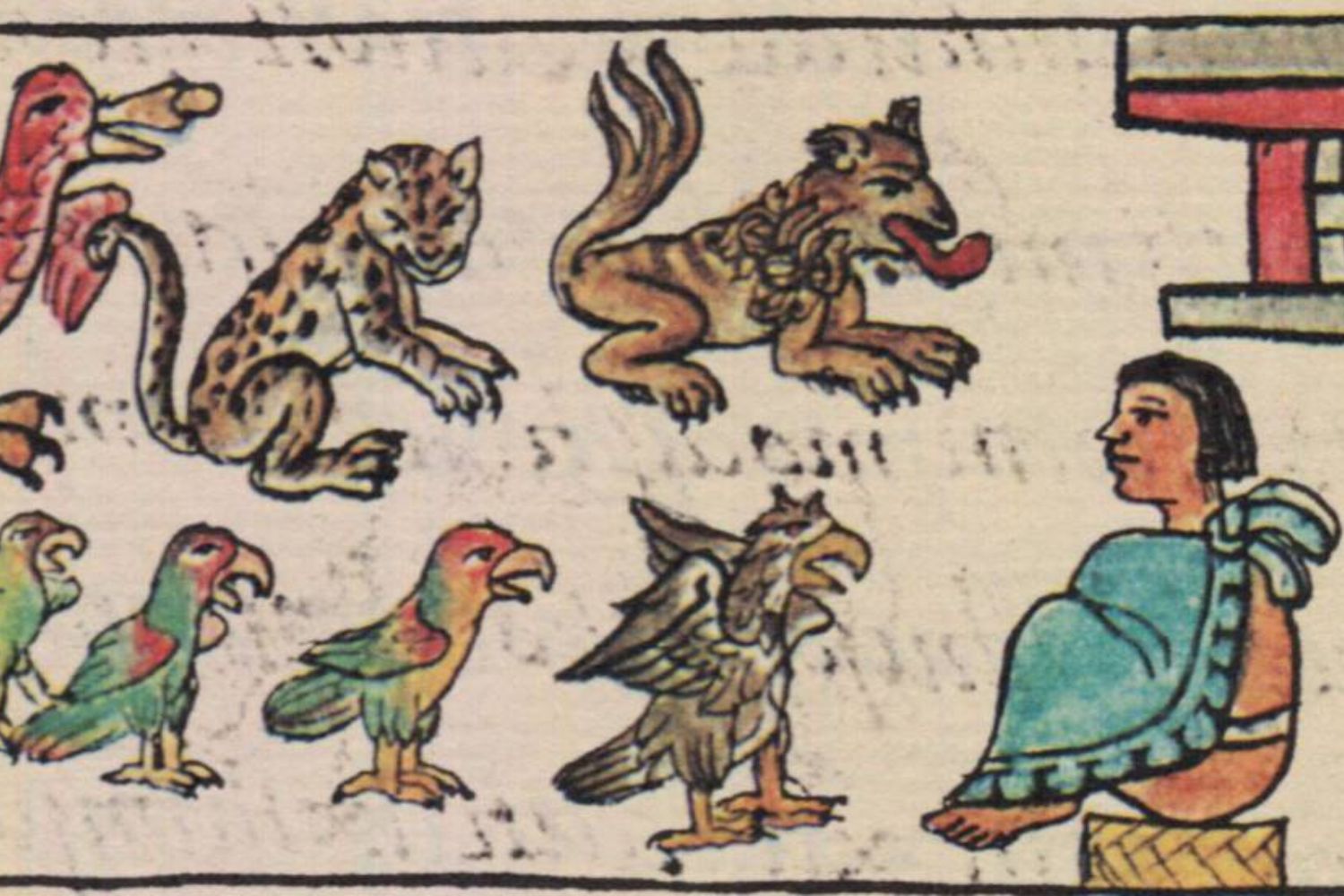 O zoológico de Moctezuma começa a revelar seus segredos após séculos