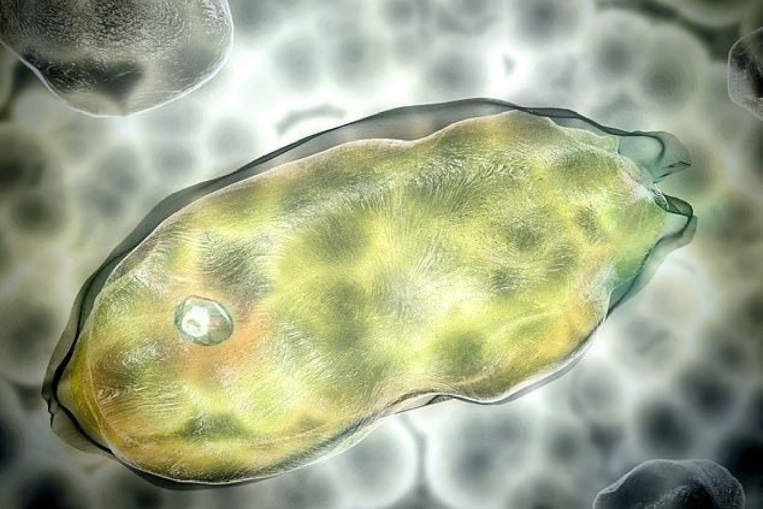 Micróbios de 40 mil anos voltam à vida e o impacto na vida na Terra pode ser devastador
