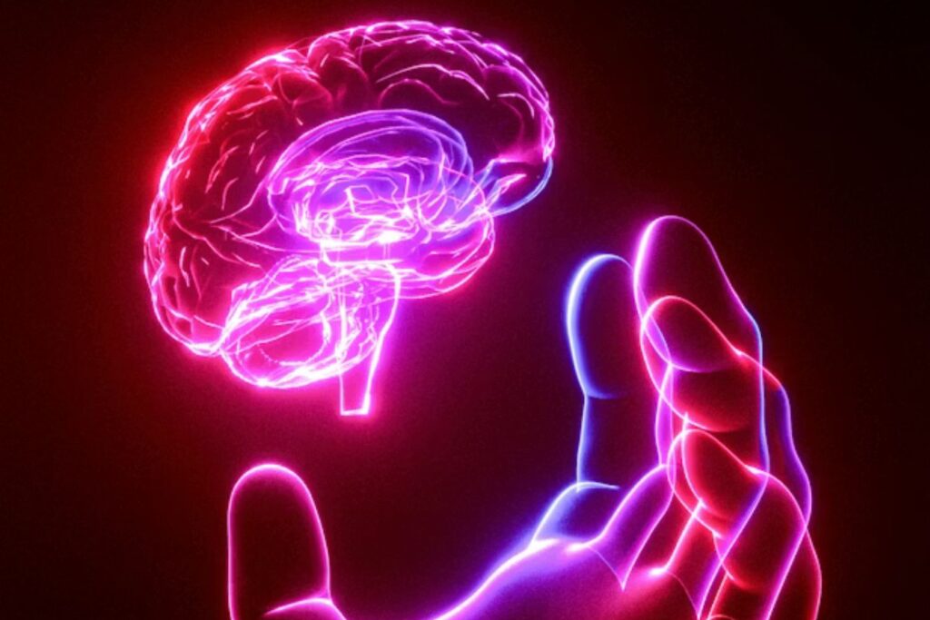 Ciência mostra que o melhor momento do cérebro não é na juventude