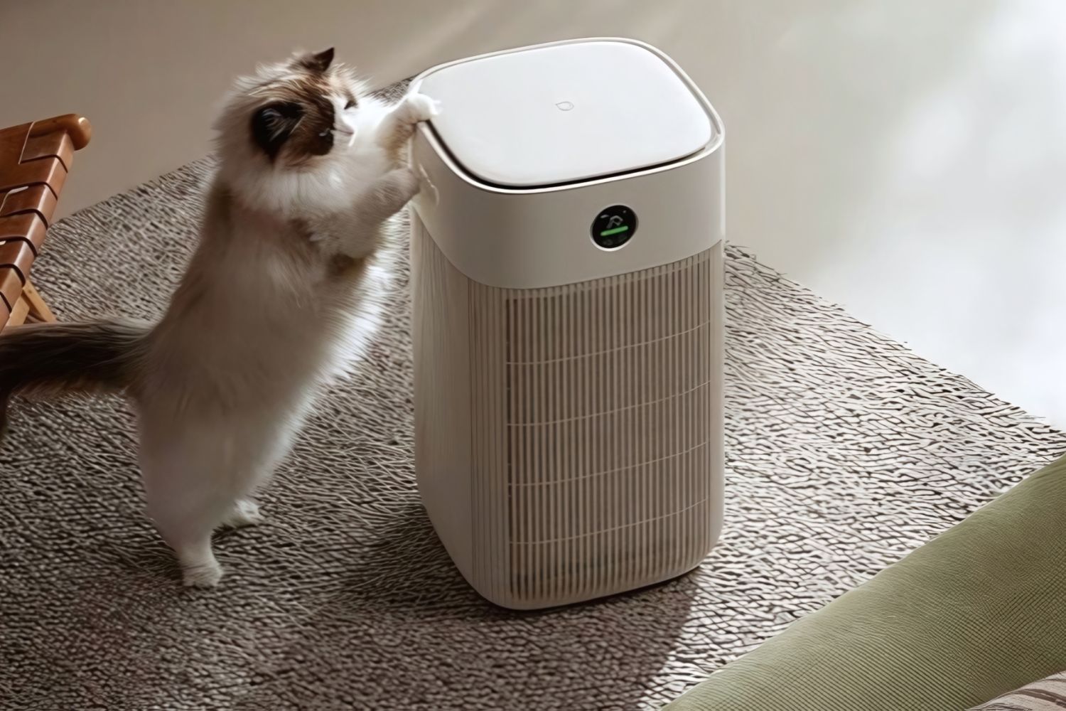 Os gadgets para pets estão invadindo as casas e mudando totalmente a rotina dos donos