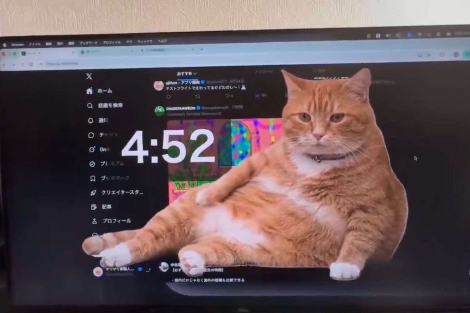 Ferramenta criada no Japão interrompe navegação com um gato para obrigar descanso