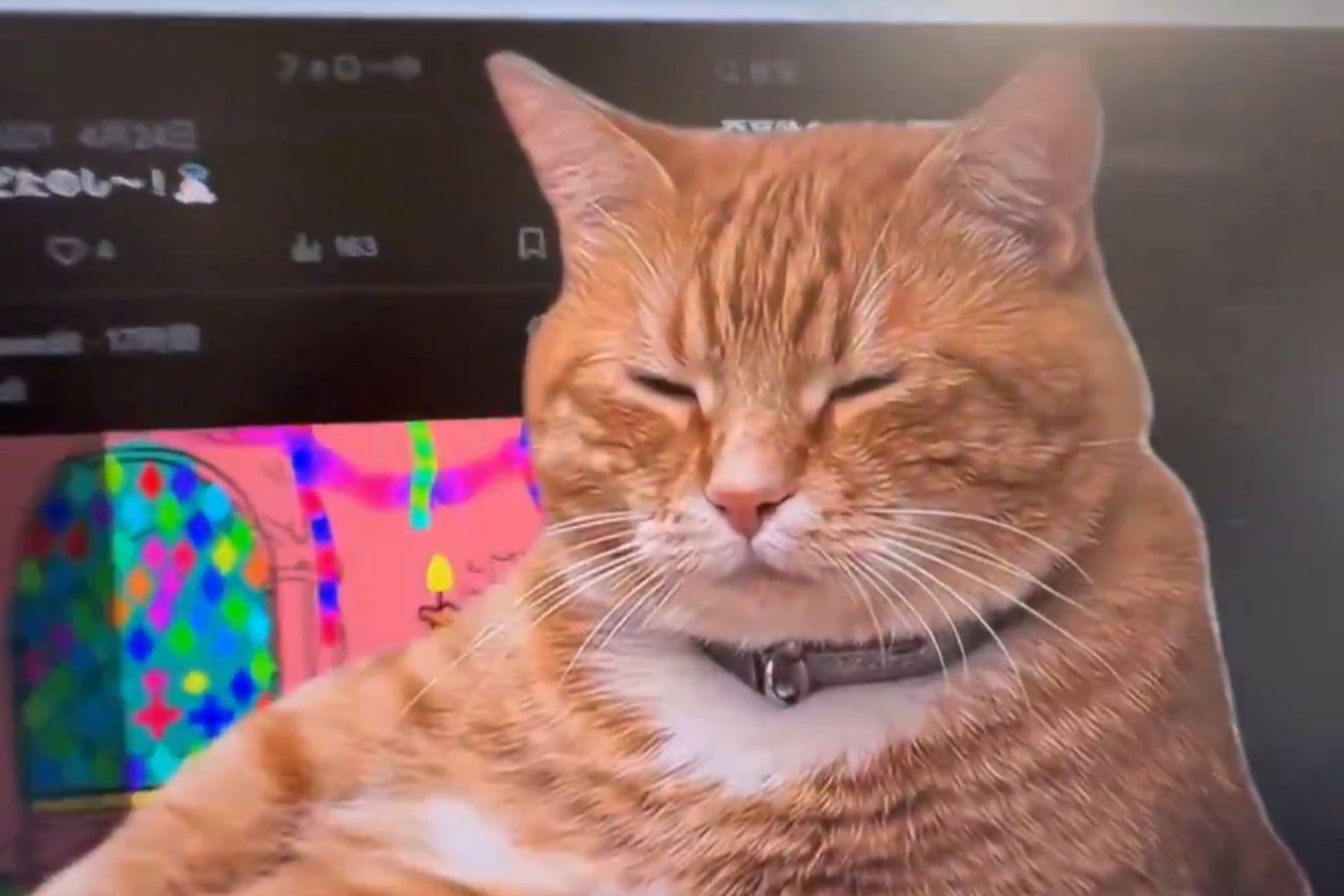 Ferramenta criada no Japão interrompe navegação com um gato para obrigar descanso