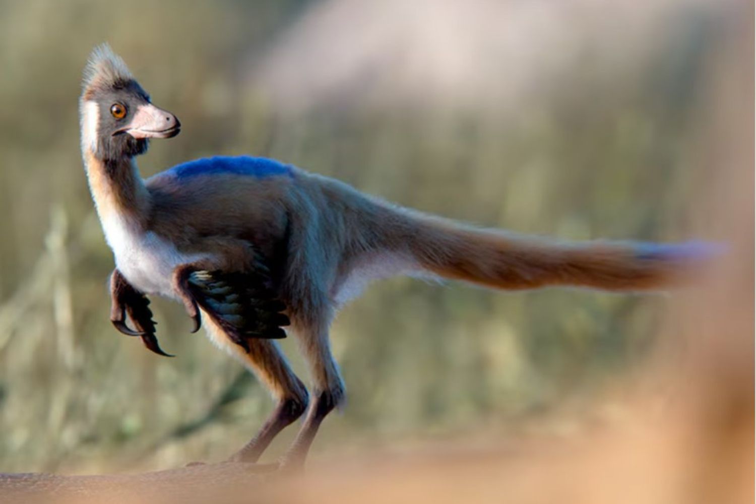 Um dinossauro do tamanho de uma galinha está mudando tudo o que sabíamos sobre a era dos gigantes