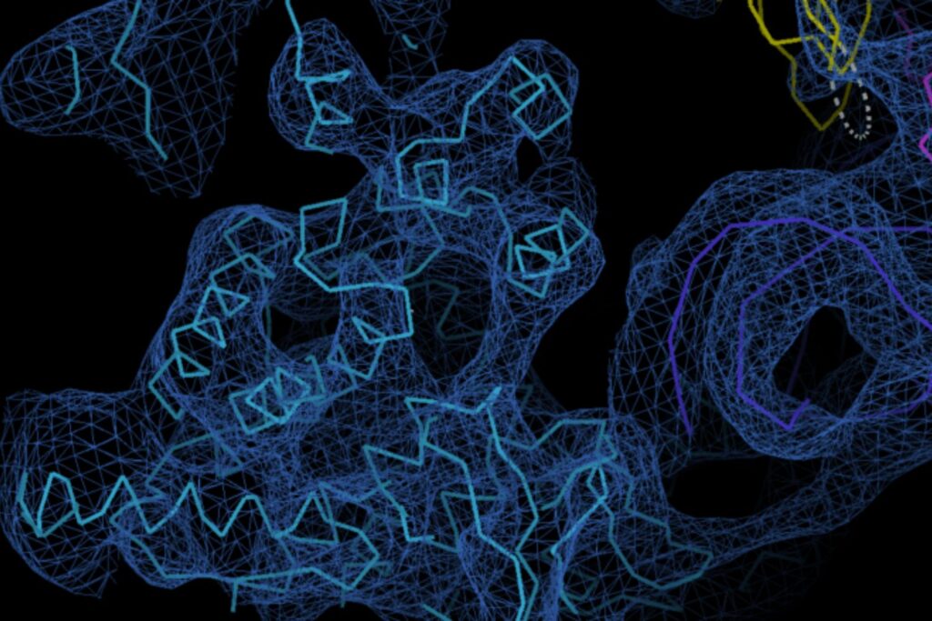 Cientistas descobrem um “segundo código” escondido no DNA humano que decide quais genes devem ficar em silêncio