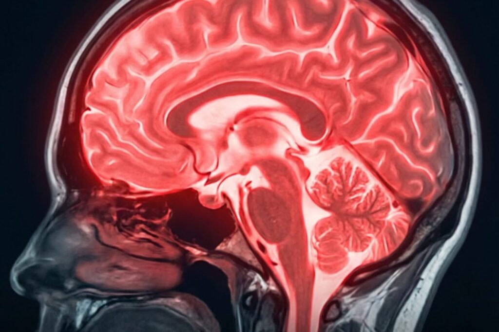 A ciência revela o momento do dia em que seu cérebro funciona melhor